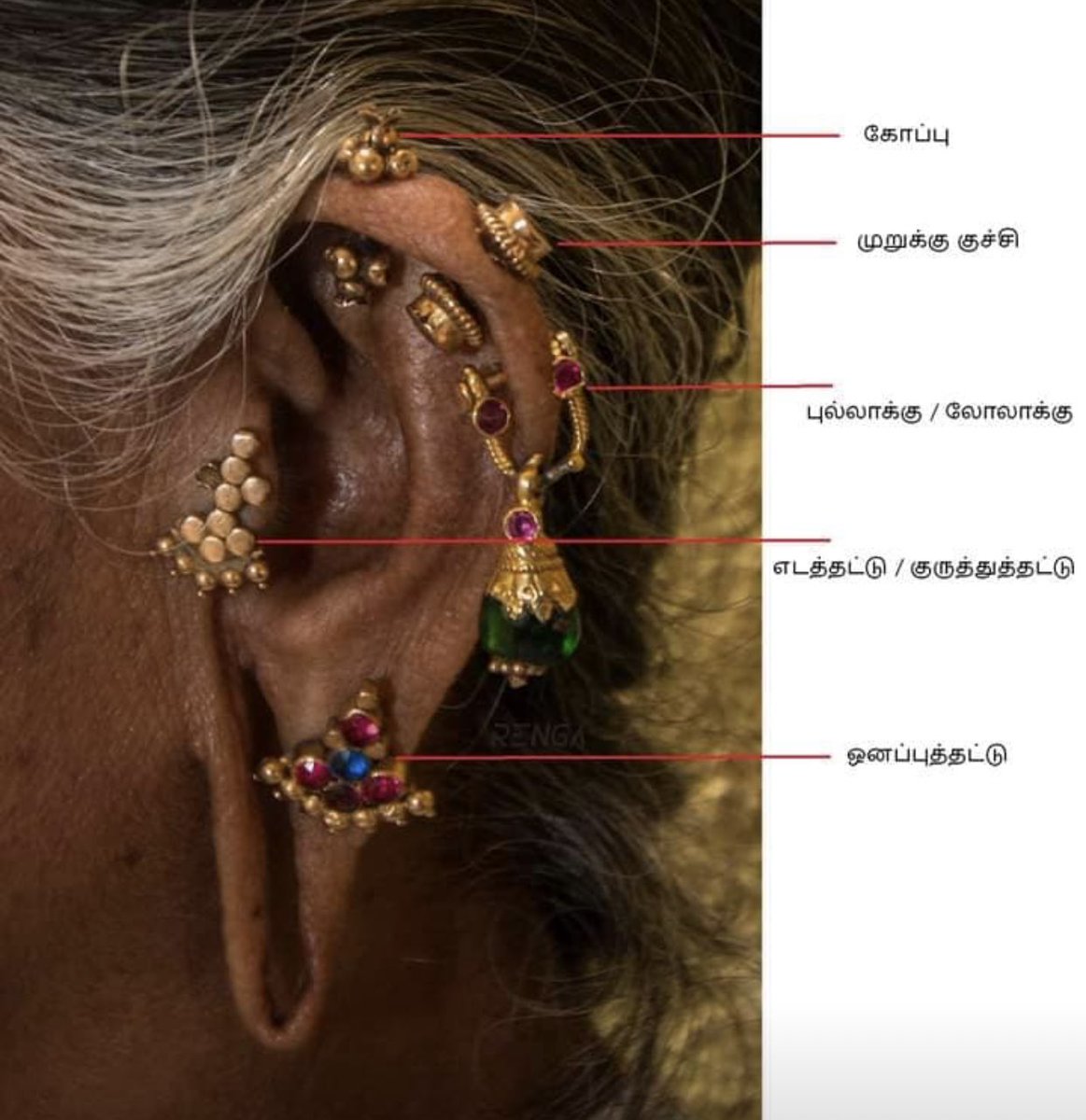 தமிழ்த்துளி Tamil Drops காதணி ear ornaments