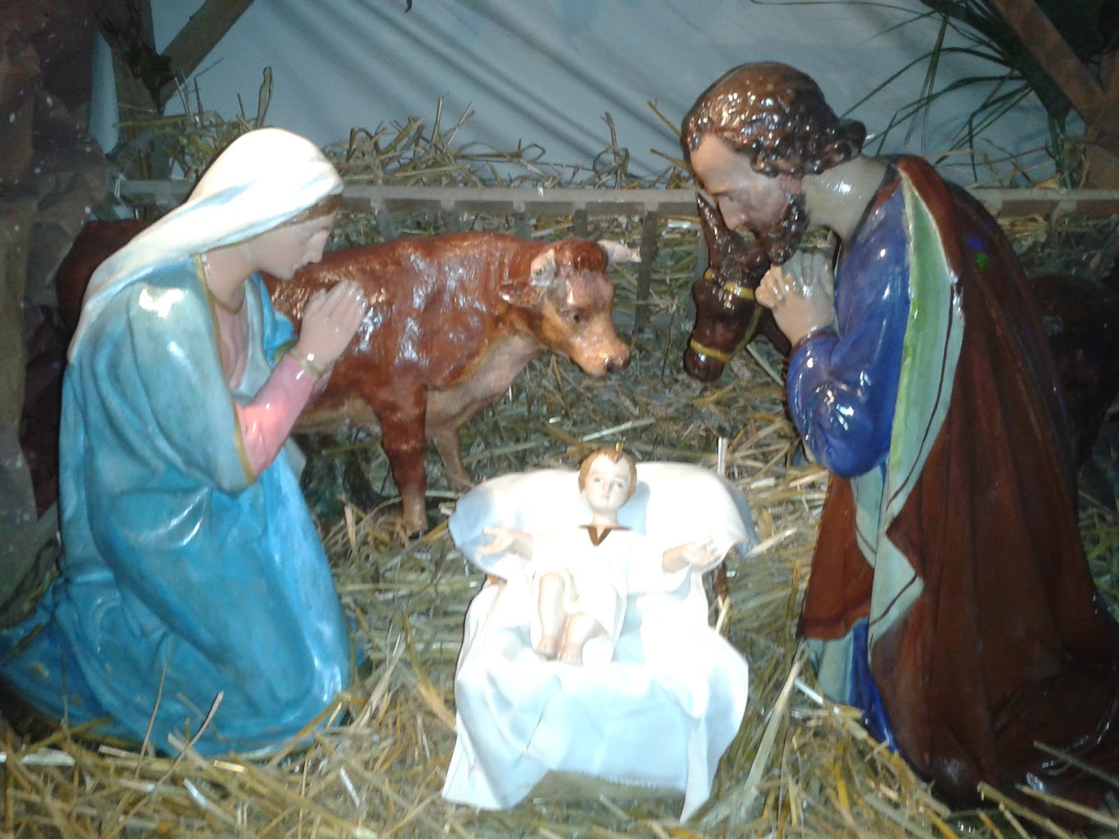 La naissance du Christ Jésus et le 25 décembre par un professeur de théologie biblique