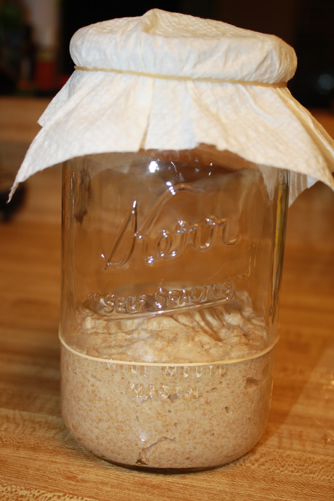 the biggest much: A Sourdough Experiment