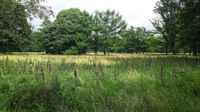 Natuur in Kamp Westerbork