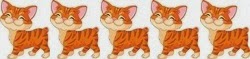 5 Cats 5 Cats