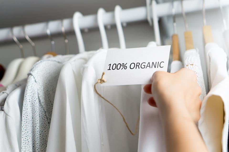 business plan for organic clothing