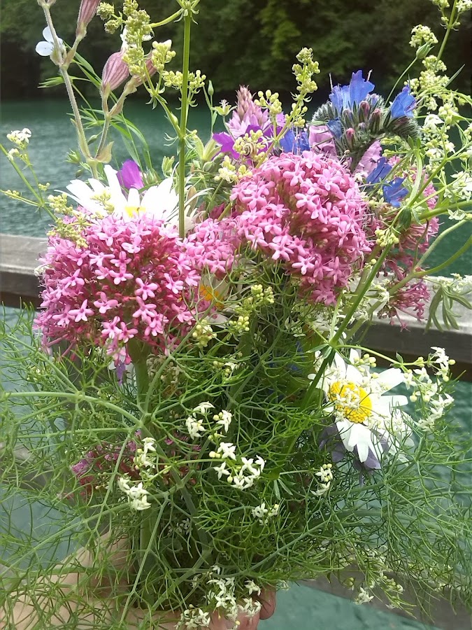 ramo de flores silvestres