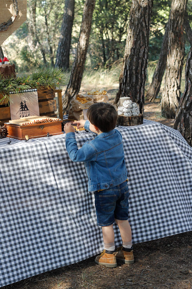 camping acampada cabañas tipi fiesta bosque scout escout campamento aniversario cumpleaños birthday