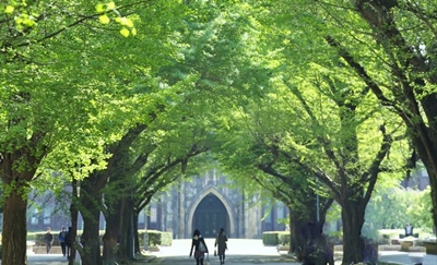 Kết quả hình ảnh cho Đại học Tokyo