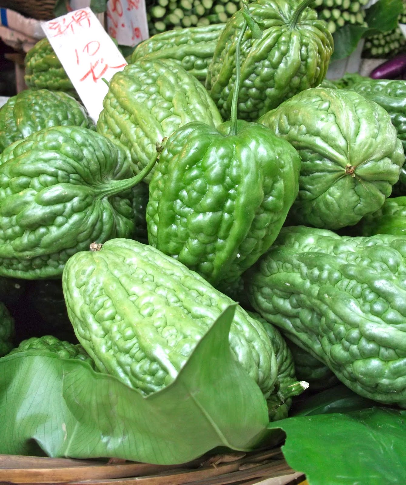 gastronaut-oh-my-gourd-it-s-bitter-gourd