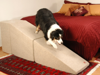 rampas com patamar para cães rampas com patamar para cães