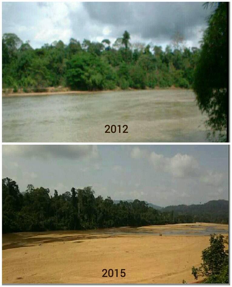 SUNGAI PAHANG DAHULU DAN SUNGAI PAHANG SEKARANG....  AKU ANAK PAHANG