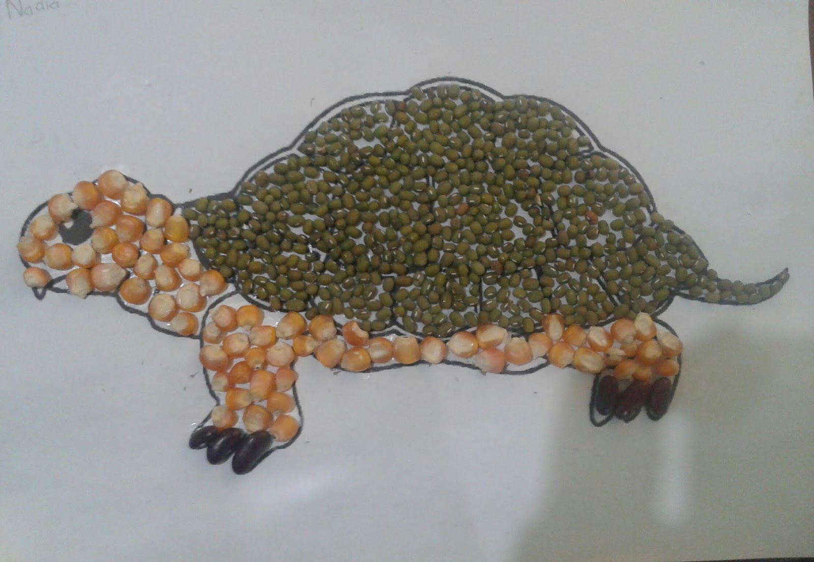 15+ Paling Keren Gambar Hiasan Hewan