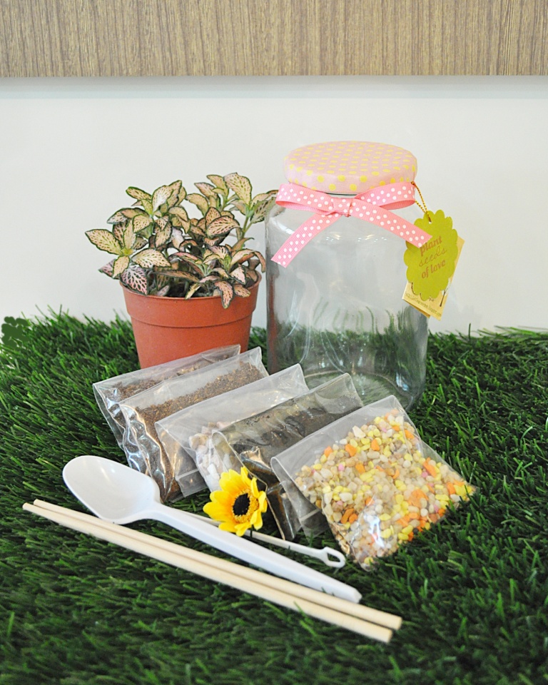 DIY Terrarium Kit Little Green Pot