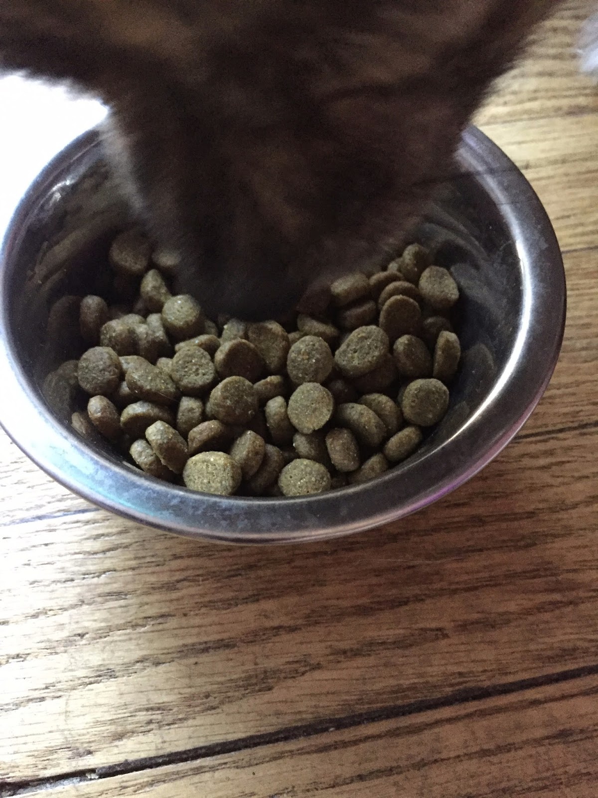 My Dog Says Woof! Product Review Zignature Turkey Kibble for Dogs