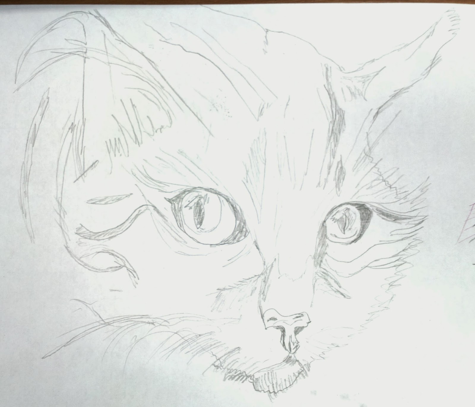 кошка рисунок карандашом для детей. поэтапное рисование мультяшек. как нарисовать кошку том. рисунок кошечки для срисовки. спящий кот рисунок карандашом.