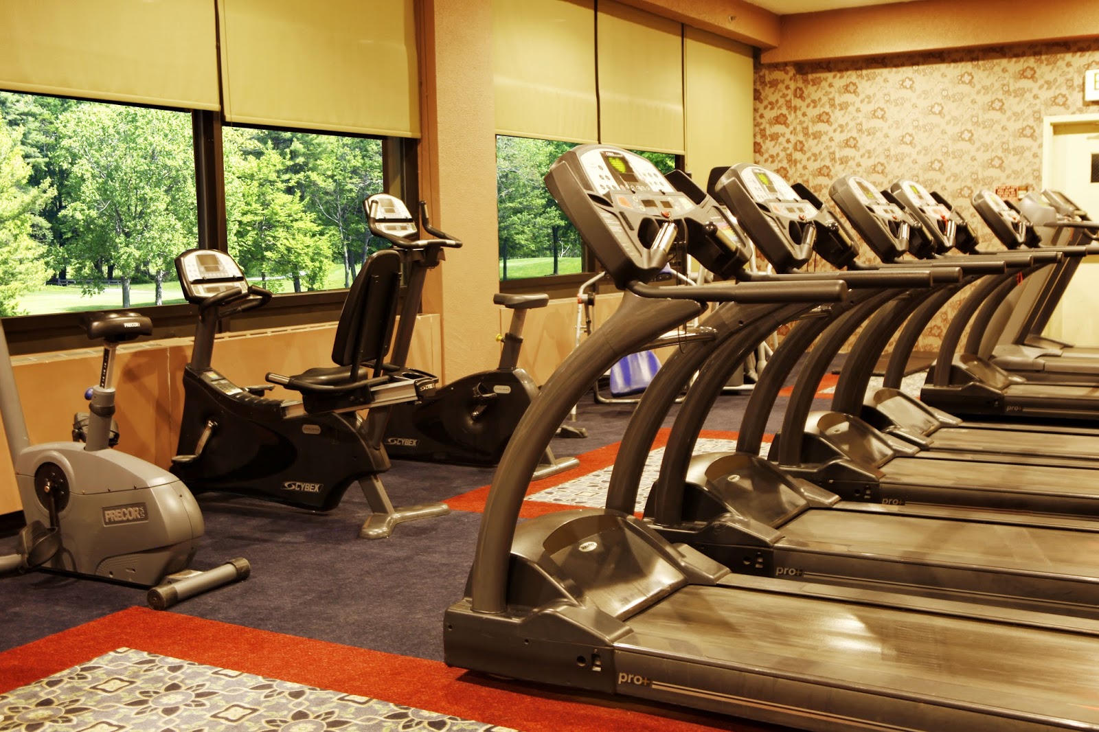 Honor's Haven Resort Live, Laugh and Lose Weight with Shane Diet