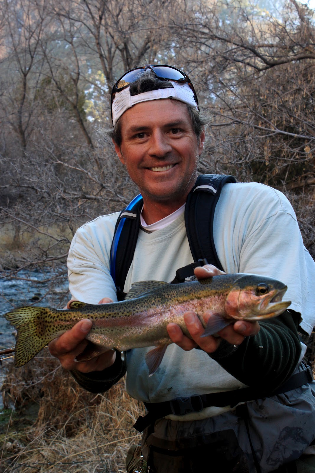 River Tales Jones Hole Creek