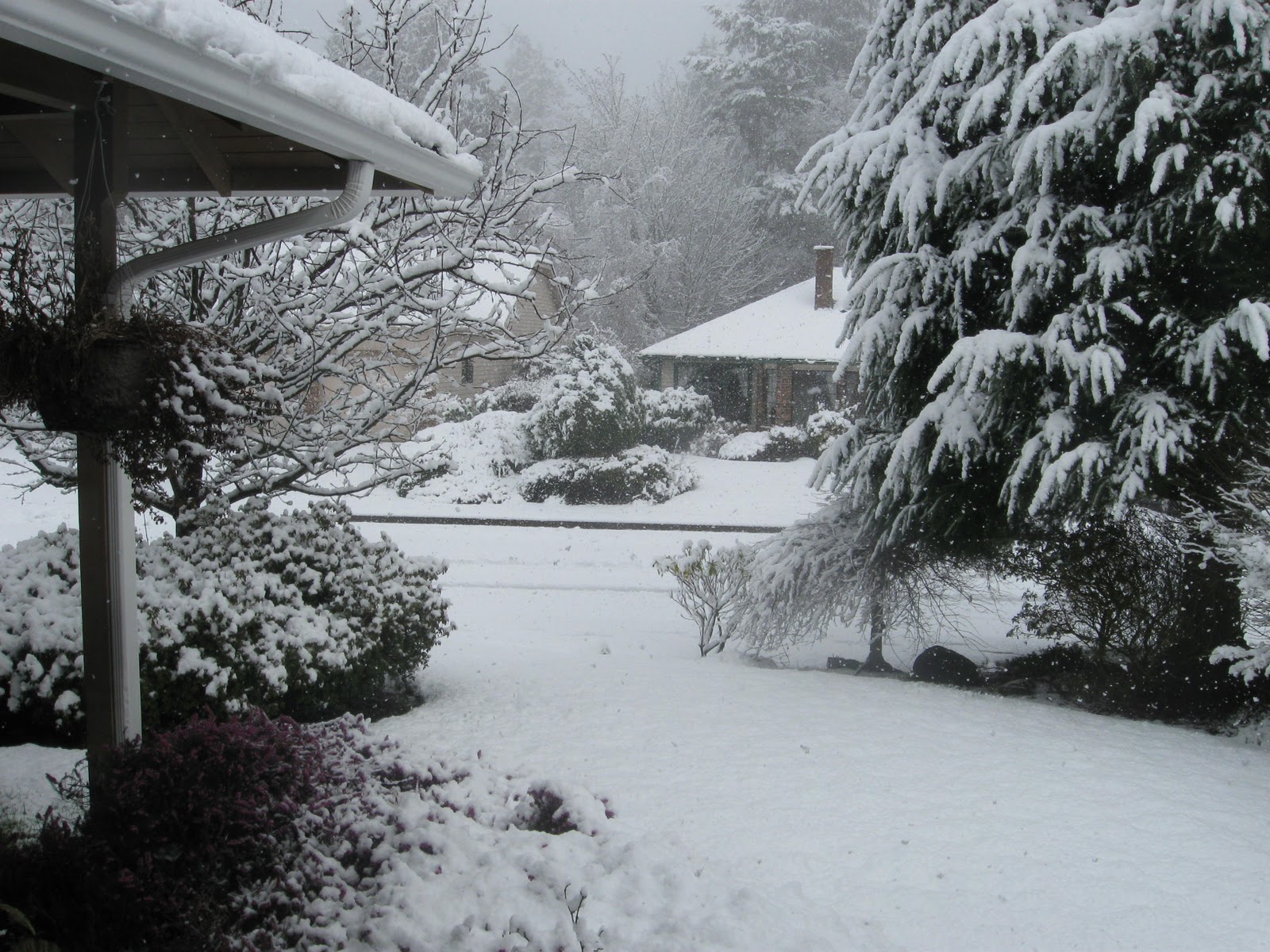 Wickless In Seattle... and now, Salt Lake City February Snow in Seattle?