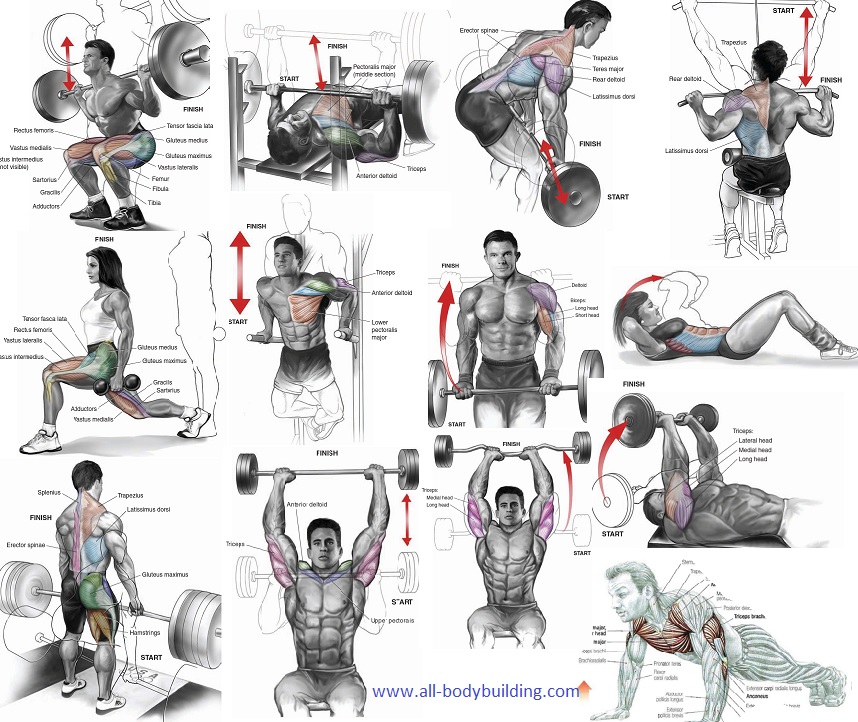 14 Best Exercises For Skinny Guys Bodydulding