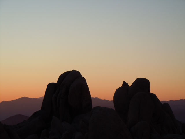sunset in Joshua Tree national park