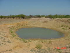 Água no barreiro da caatinga