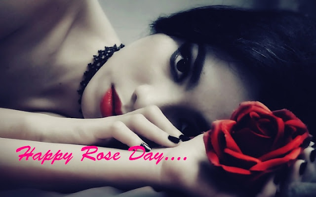 Rose Day Alone Whatsapp Status DP Rose Day Alone Whatsapp Status DP