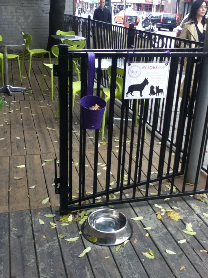 C.C. Food Review Yoyo's Yogurt Cafe