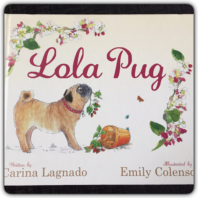 lola pug