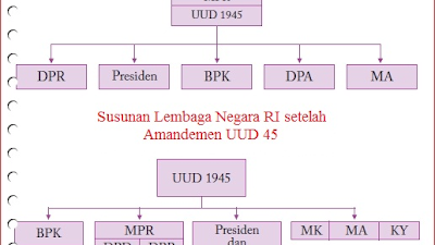 Perbedaan Jabatan Fungsional dan Pelaksana yang Perlu Anda Ketahui