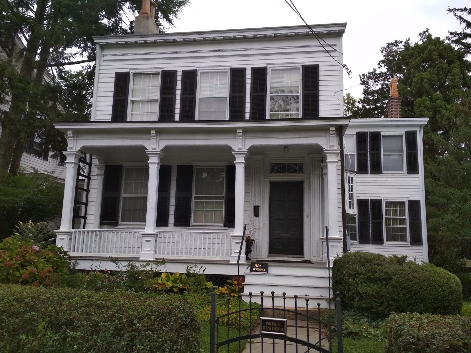 CHINAR SHADE ALBERT EINSTIEN'S HOUSE IN PRINCETON