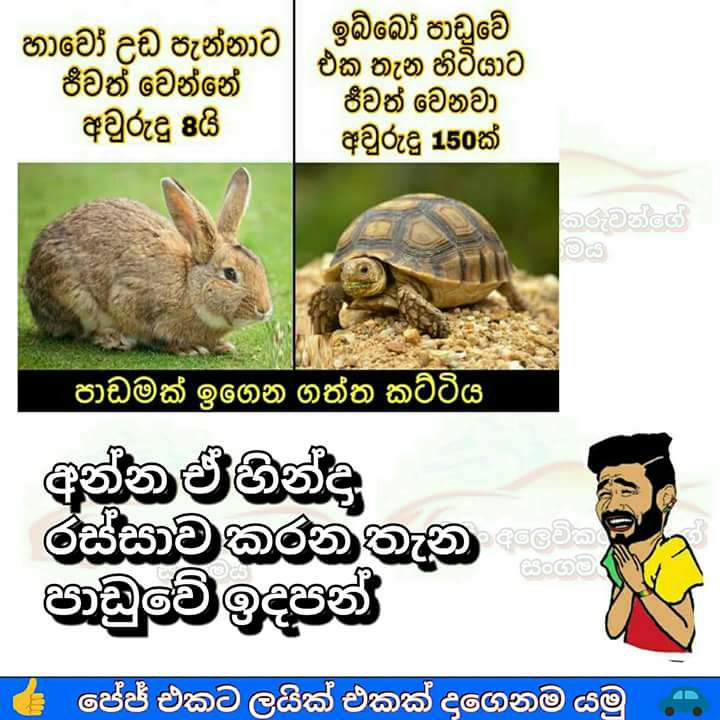 Funny Sinhala Jokes