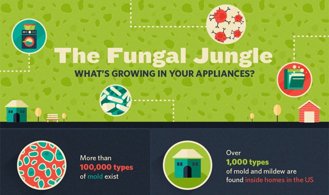 Image: The Fungal Jungle: What’s Growing in Your Appliances? #infographic
