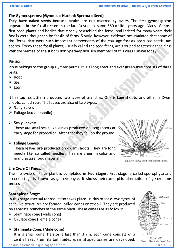 kingdom-plantae-descriptive-question-answers-biology-11th