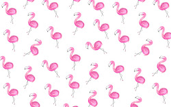 desktop girly wallpapers flamingo backgrounds pretty background je google laptop pattern theprettycitygirl pink summer fuer giulia nl achtergronden travel schattige