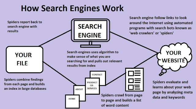 How to Become an SEO Expert in 2019