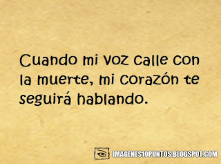 frases celebres de amor frases celebres de amor
