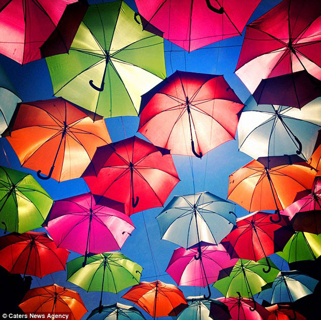 Portugal: Bunte Regenschirme in der Stadt