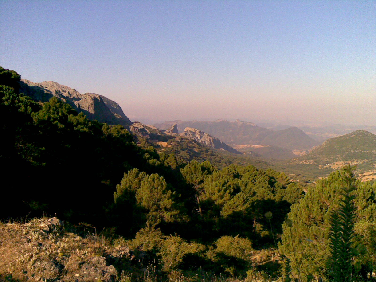 Las rutas de Miguel Nitrous Ruta de CARRETERA El Bosque,puerto de El