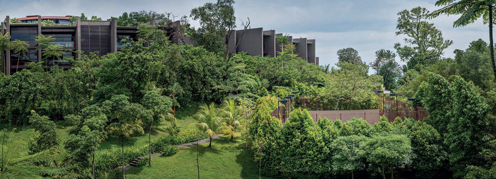 The Club Residences Capella - Lush Tropical Landscape The Club Residences Capella - Lush Tropical Landscape