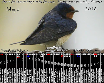 Sierra del Camero Viejo - Calendario Lunar - Mayo, 2016 -