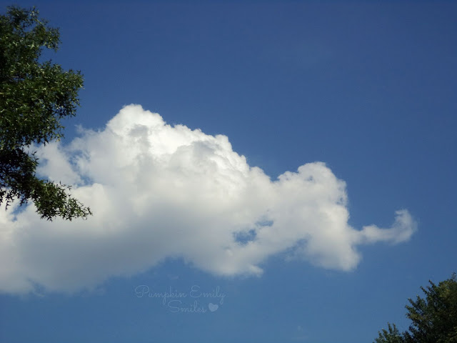 Clouds that look like a anteater
