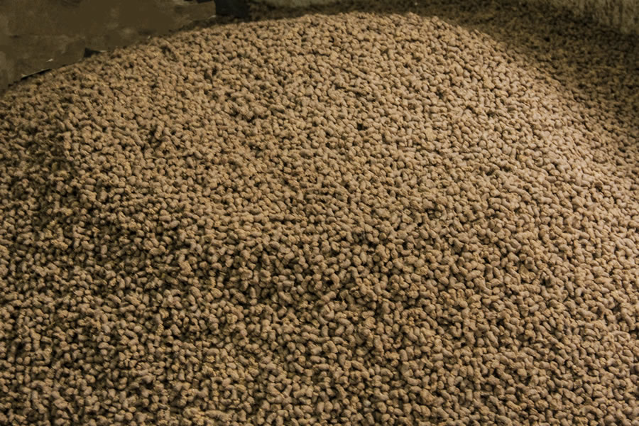 Catfish Feed Ingredients Filled with Important Nutrition Dry Catfish