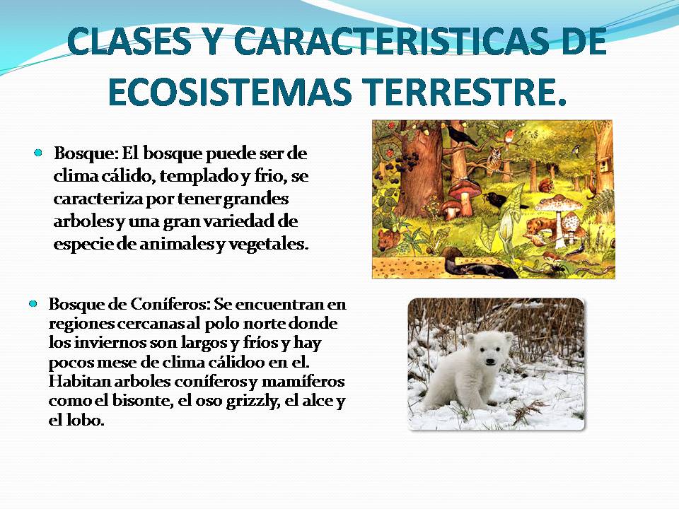 TAREAS Ecosistema Terrestre