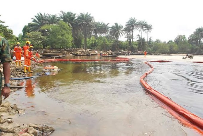 1,200 Women Set To Be Trained For Ogoni Clean-Up