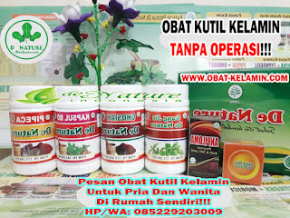 Obat Kutil Kelamin Obat Kutil Kelamin
