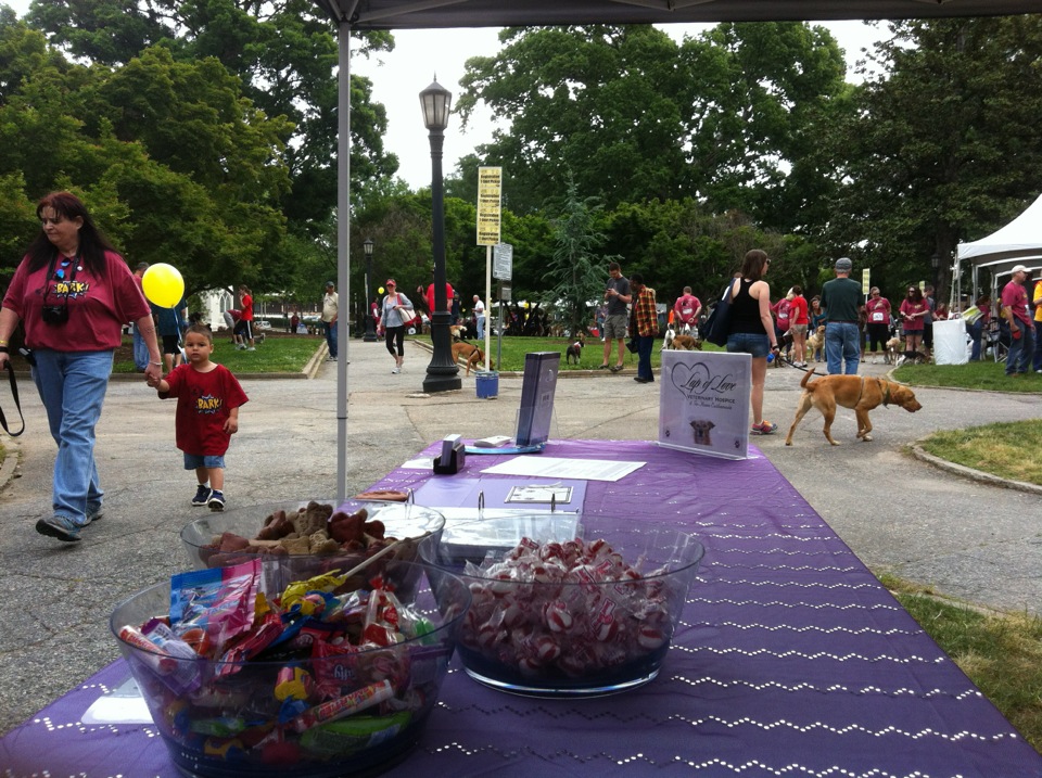 Lap of Love Veterinary Hospice Dana Lewis Lap of Love Raleigh Dog Walk
