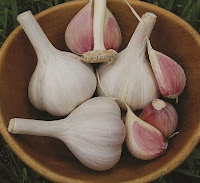 Hardneck garlic bulbs. https://trimazing.com/ Photo of hardneck garlic bulbs in a bowl. https://trimazing.com/