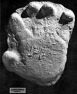 Bigfoot handprint