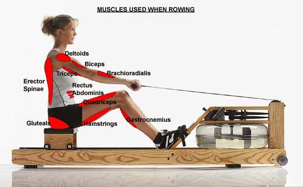 at home rowing machine reviews