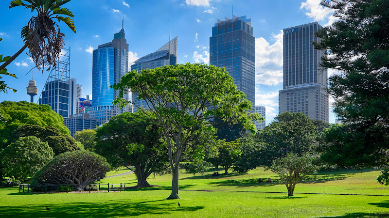 Sydney Botanical Gardens
