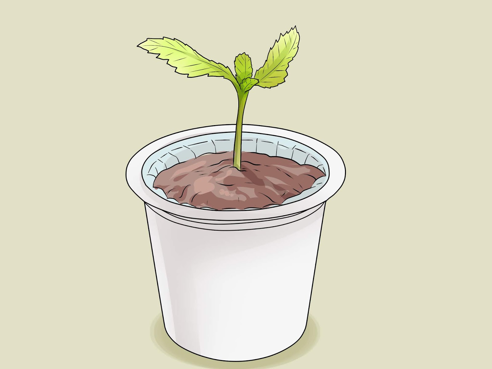 CoffeeCow Blog Keurig, Tassimo & All Your Favorite Coffee Products