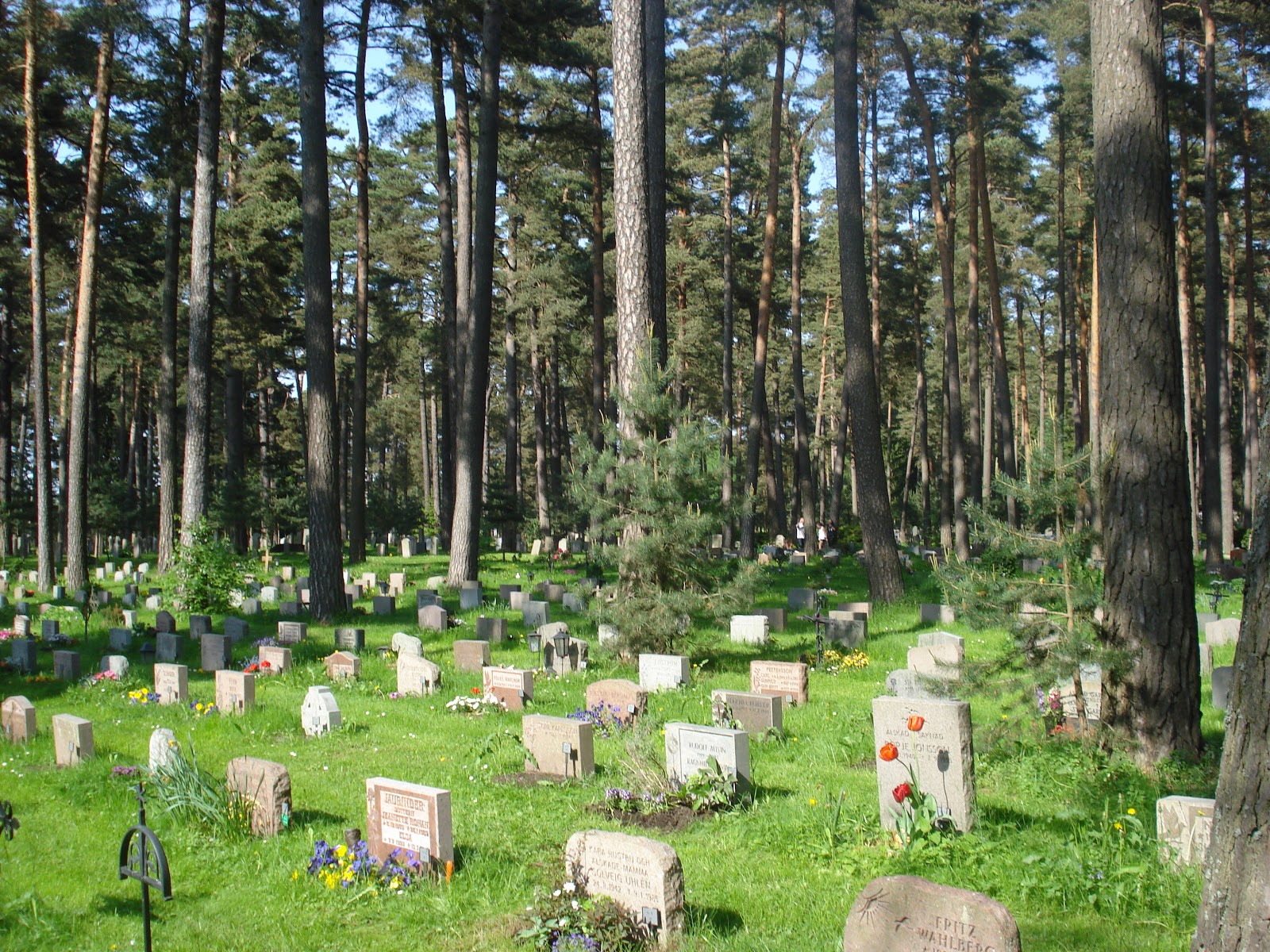 Majas blogg SKOGSKYRKOGÅRDEN