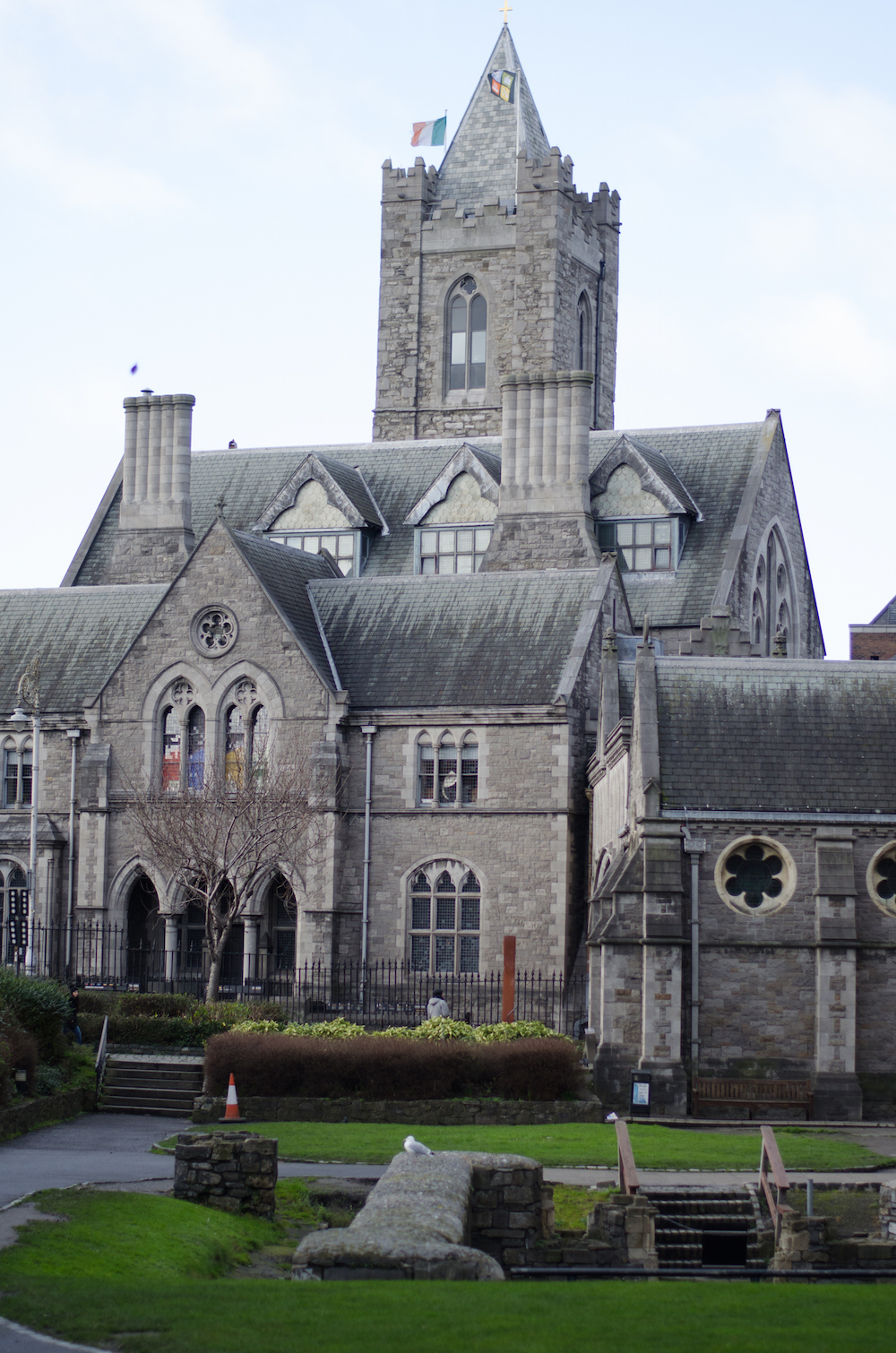 Dublín